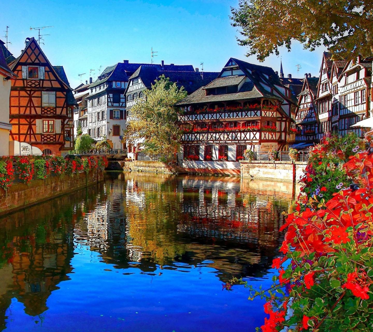 1440x1280 Strasbourg Wallpaper, Desktop