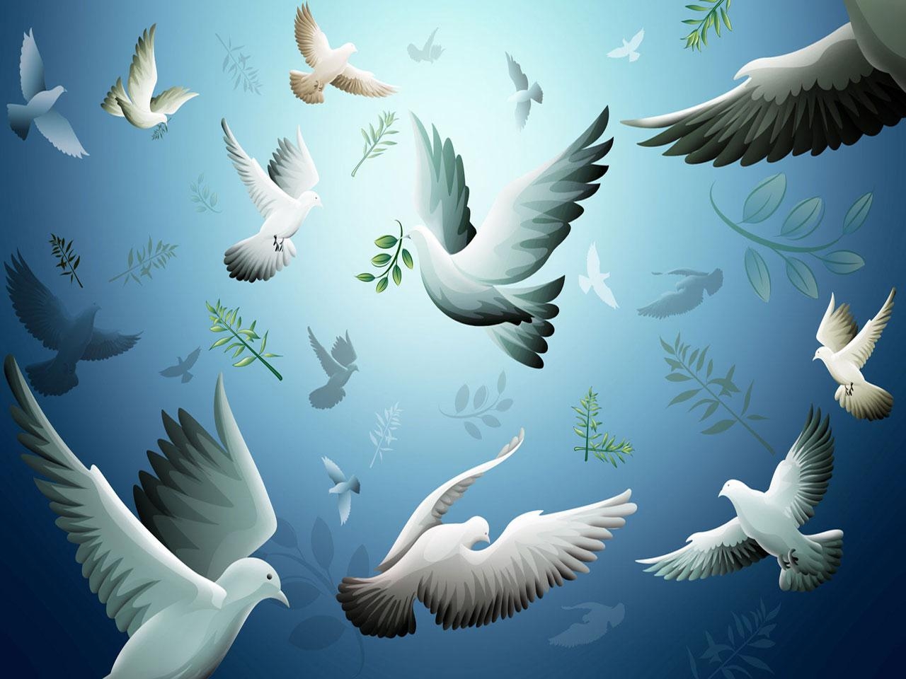 1280x960 Animated Nature Wallpaper Animated Pigeons Wallpaper, Desktop