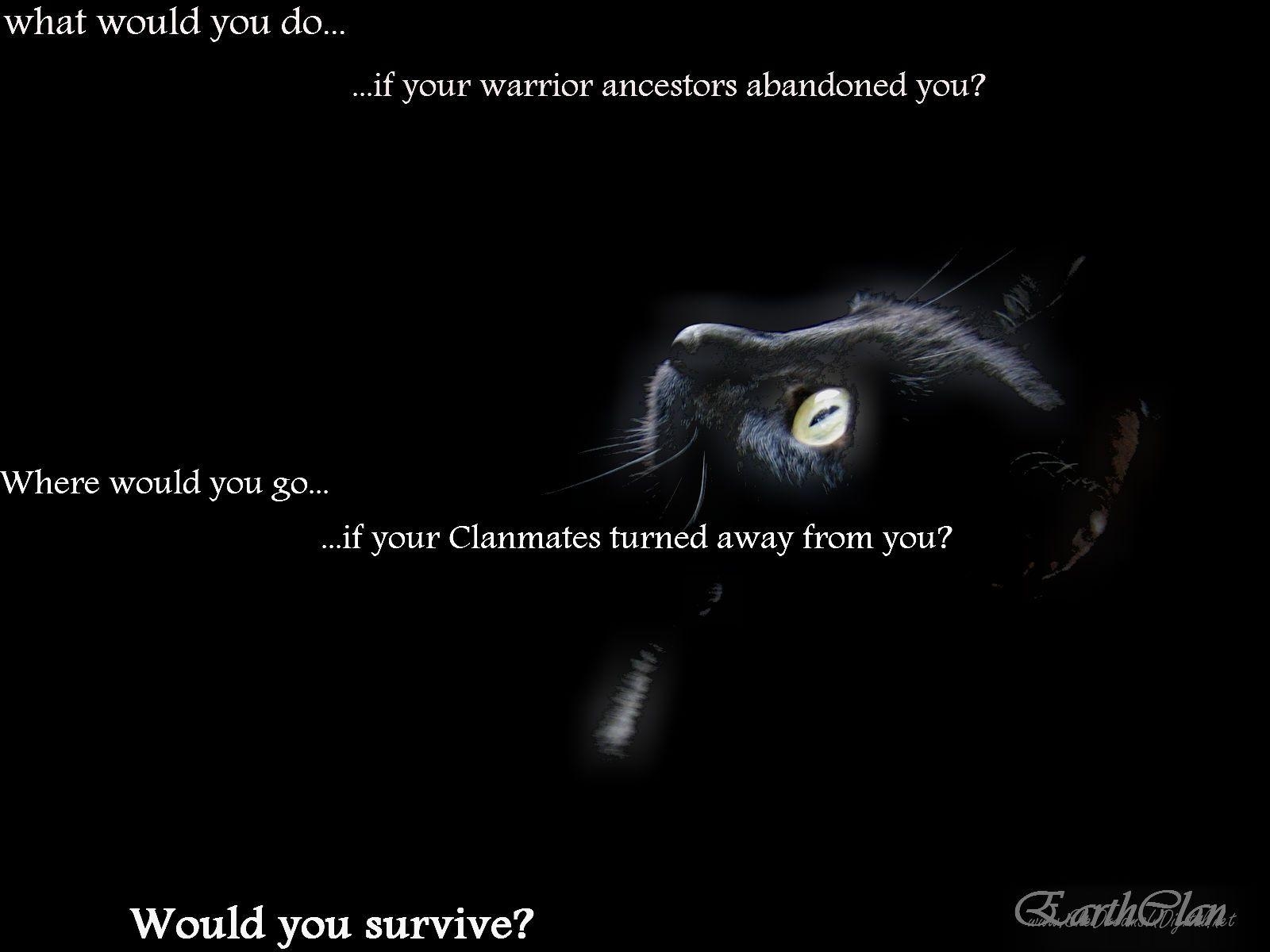 1600x1200 Black Cat EarthClan. Warrior Cats Roleplay, Desktop