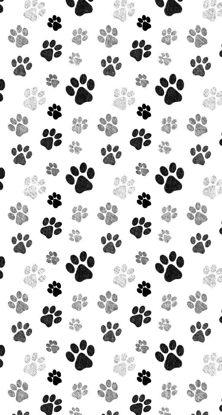 740x1380 Dog Paw Wallpaper Free Dog Paw Background, Phone