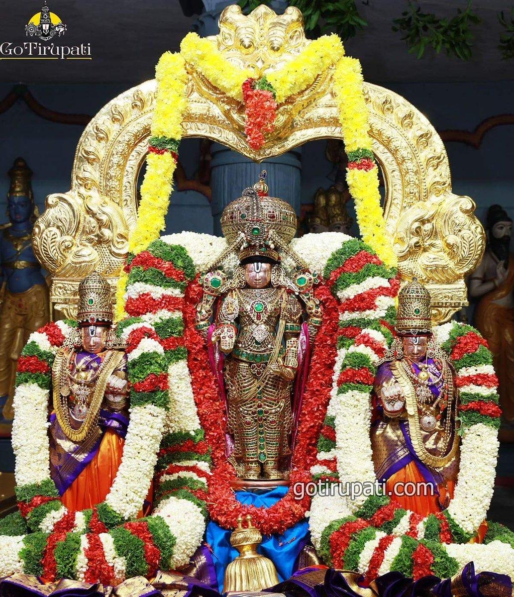 1040x1200 Gotirupati On Twitter Lord Sri Venkateswara Swamy With, Phone