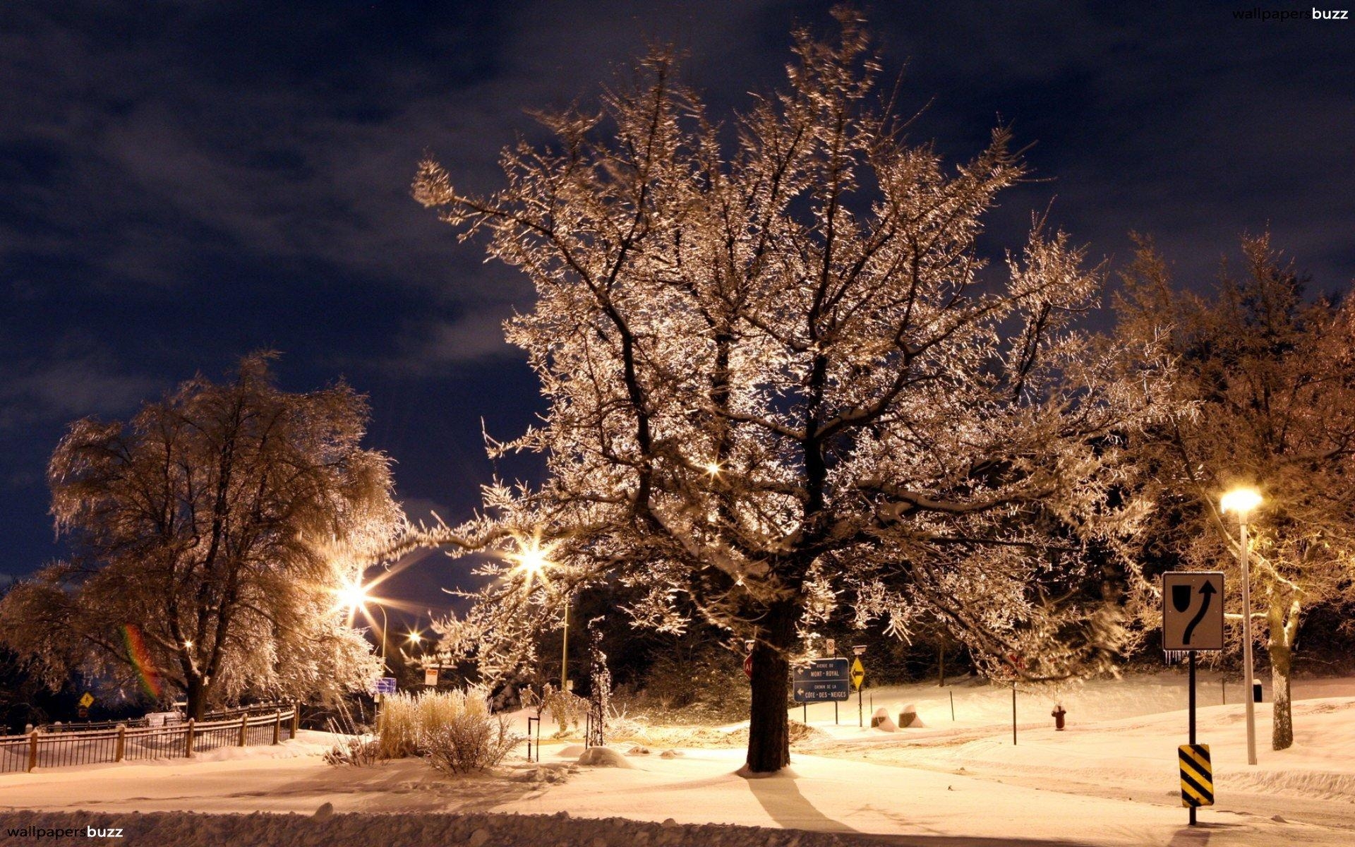 1920x1200 Winter night HD Wallpaper, Desktop