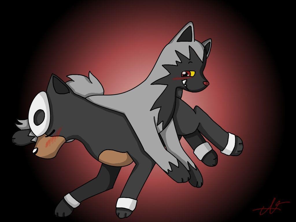 1030x770 Houndour And Poochyena By Gasha Dokuro, Desktop