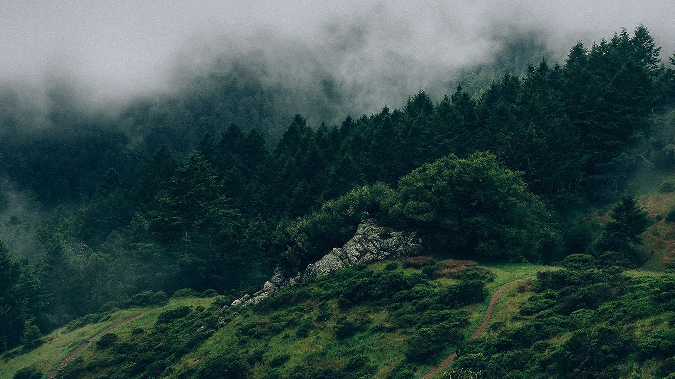 1370x770 Aesthetic Green PC Wallpaper, Desktop