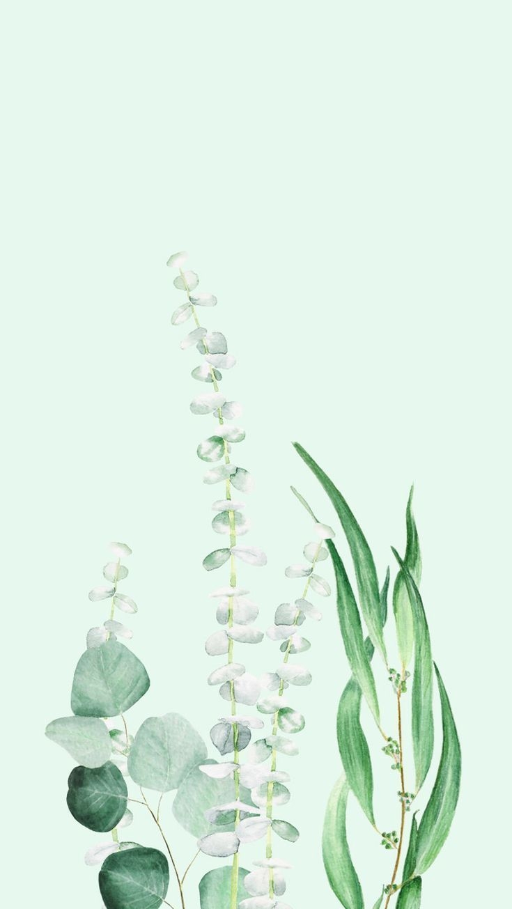 740x1310 Plant Phone Wallpaper Free Plant Phone Background, Phone