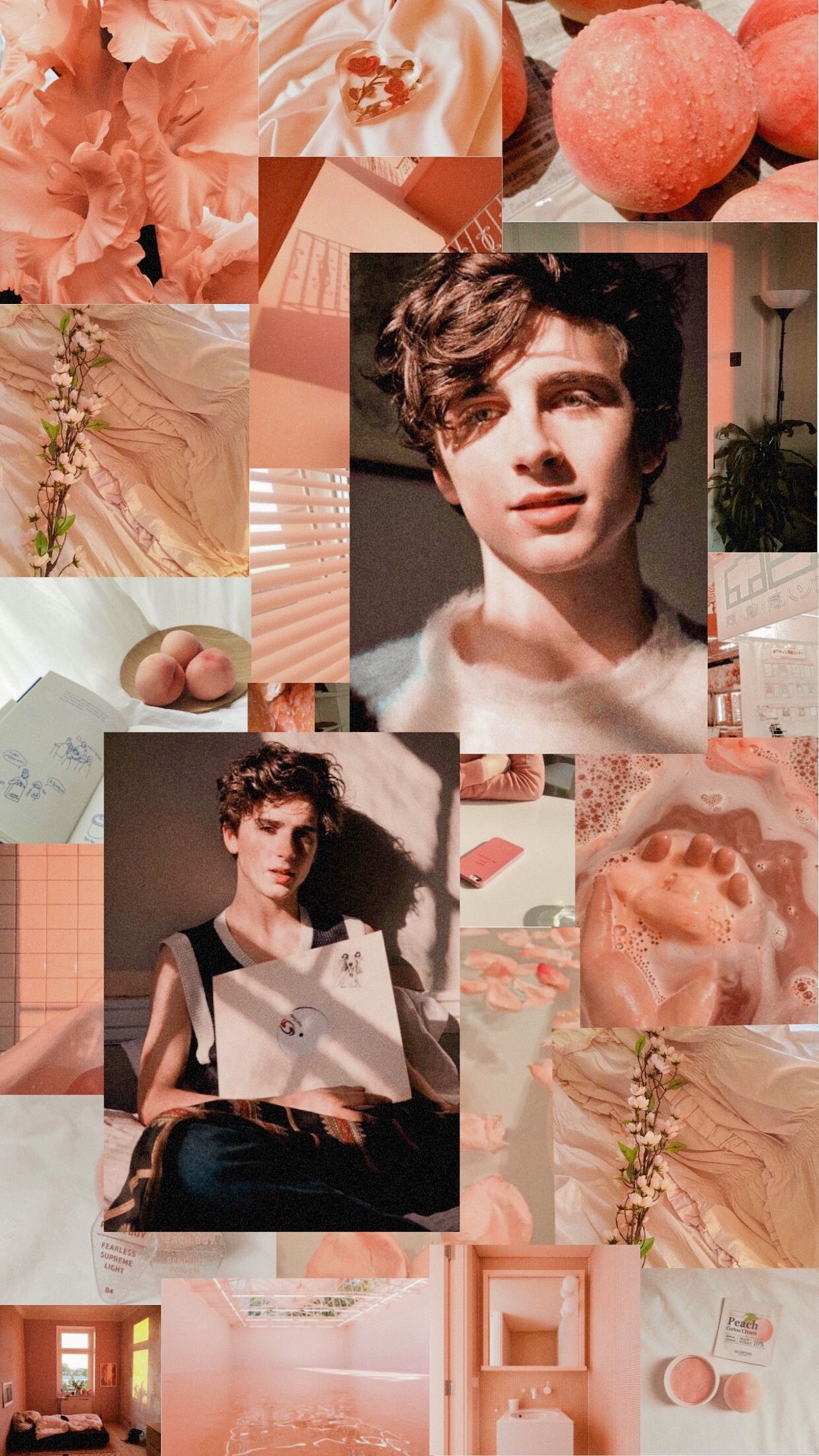 1250x2210 Timothee Chalamet wallpaper. Timothee chalamet, Aesthetic wallpaper, iPhone wallpaper, Phone