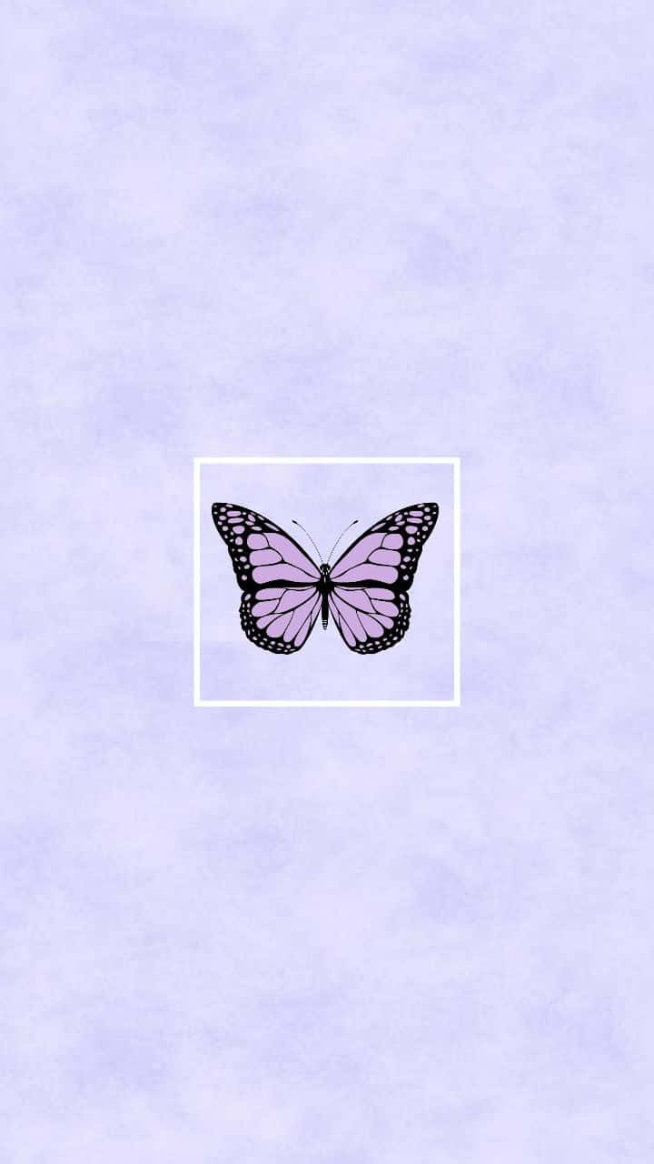 720x1280 Cute Purple Butterfly Wallpaper, Phone