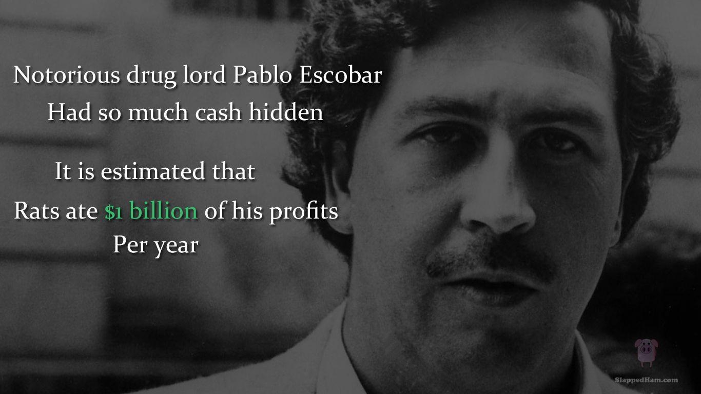 1370x770 Colombian Farmer Finds Pablo Escobar's $000 Buried On His Farm, Desktop