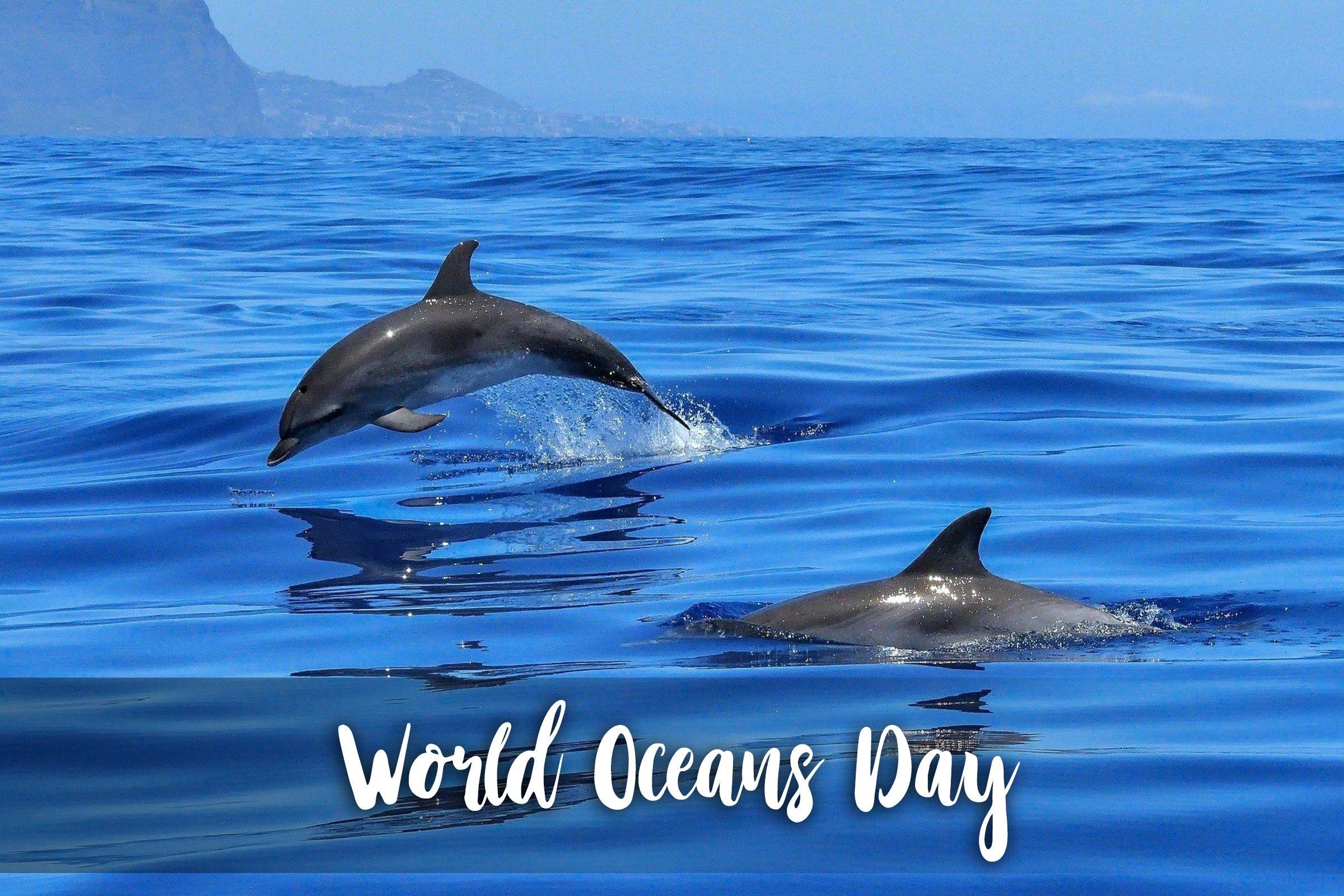 2400x1600 Happy World Oceans Day Our Ocean Our Future Wallpaper, Desktop