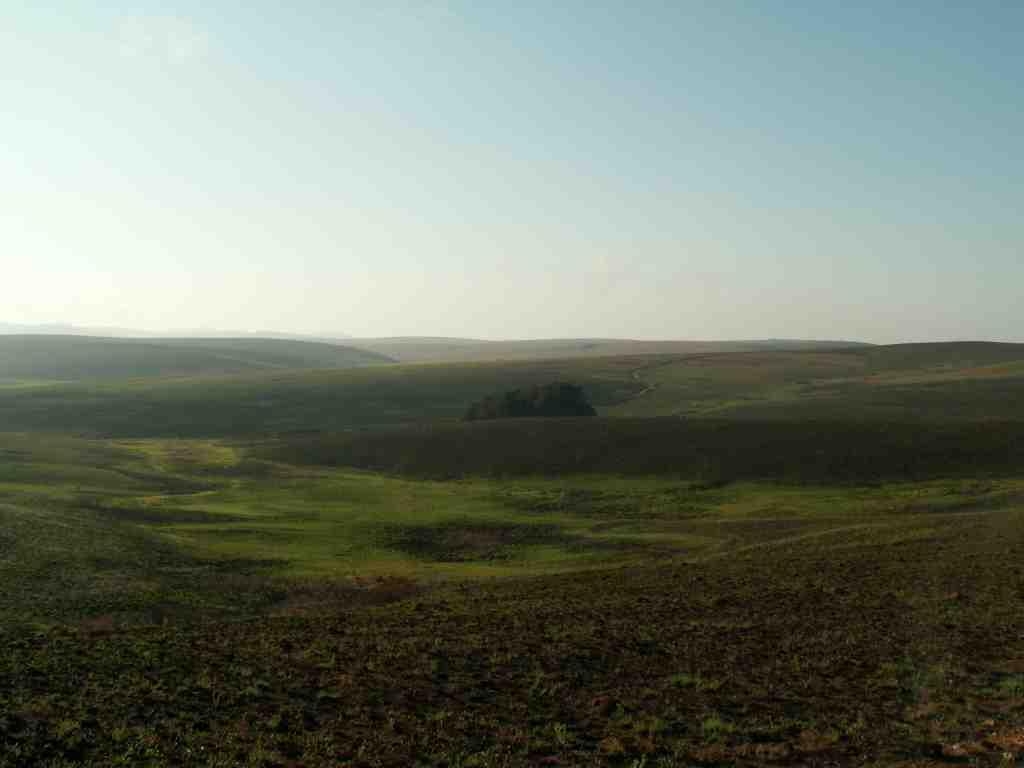 1030x770 Nyika Plateau. Birding in Zimbabwe, Desktop