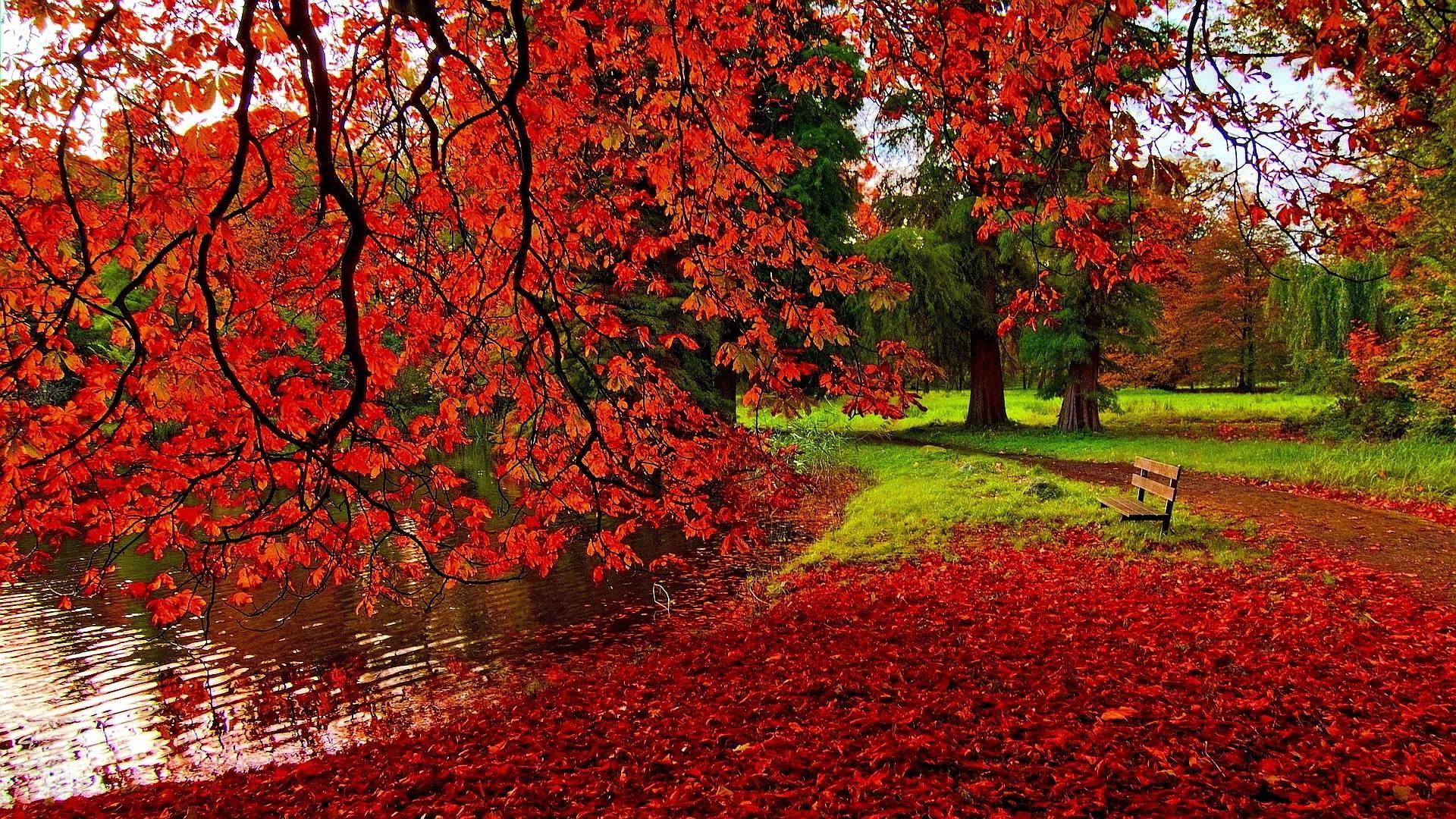 1920x1080 Autumn Wallpaper HD let you feel the magic of Fall, Desktop