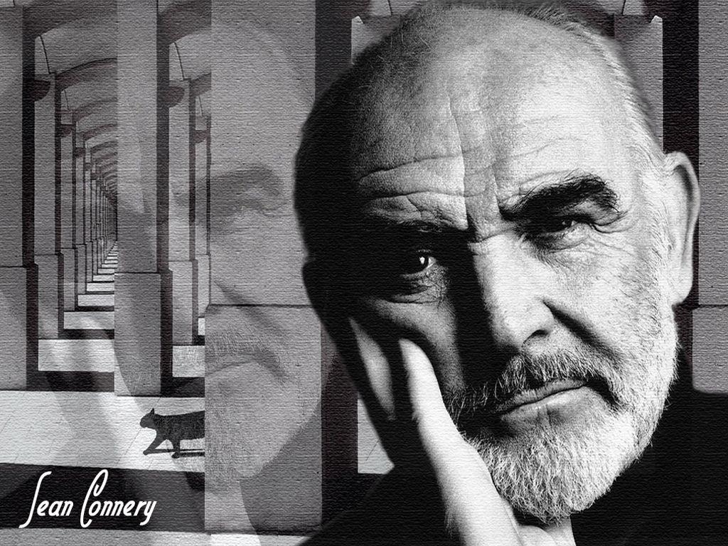 1030x770 Sean Connery wallpaperx768, Desktop