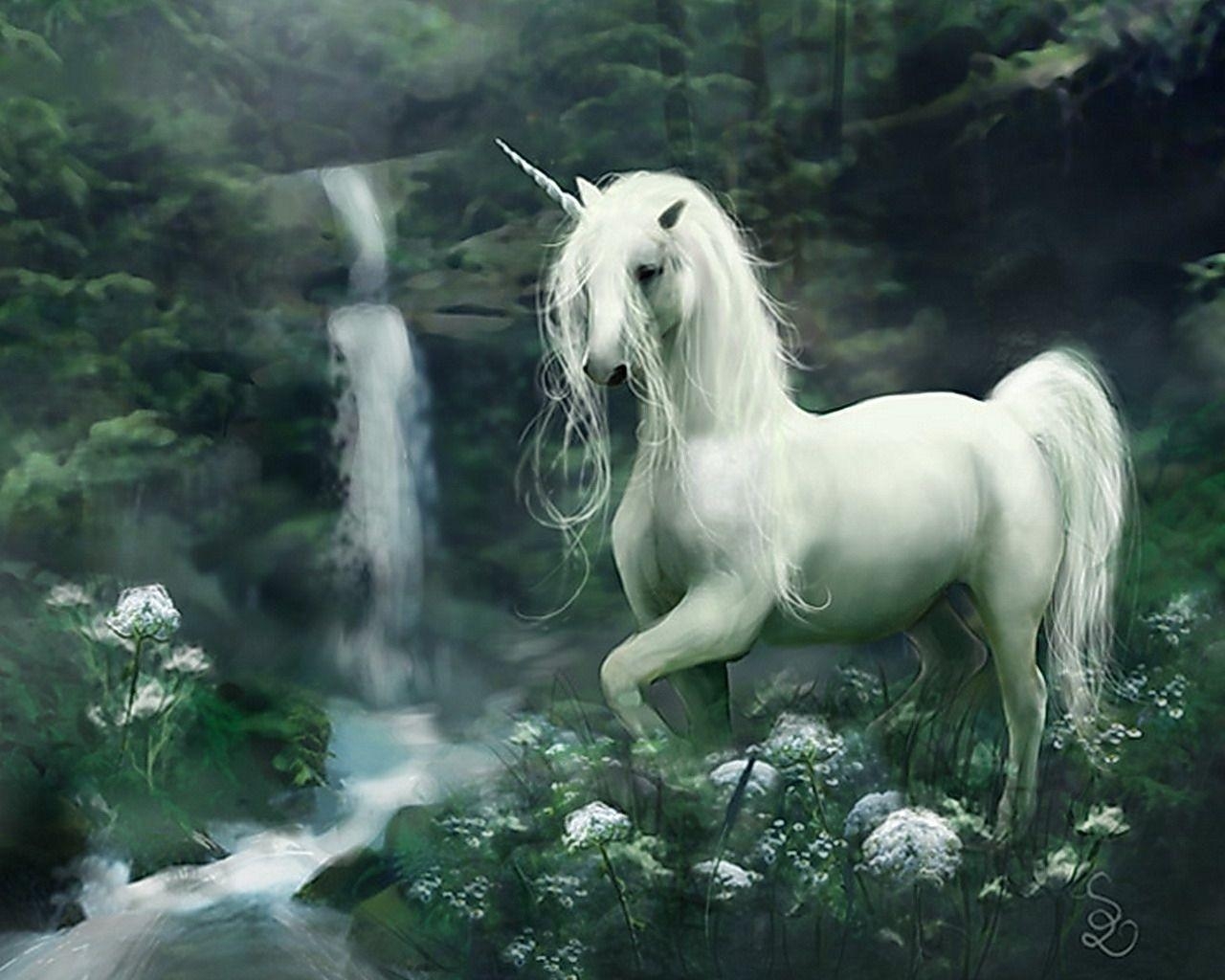 1280x1030 Unicorn Computer Wallpaper, Desktop Background  Id: 224569, Desktop