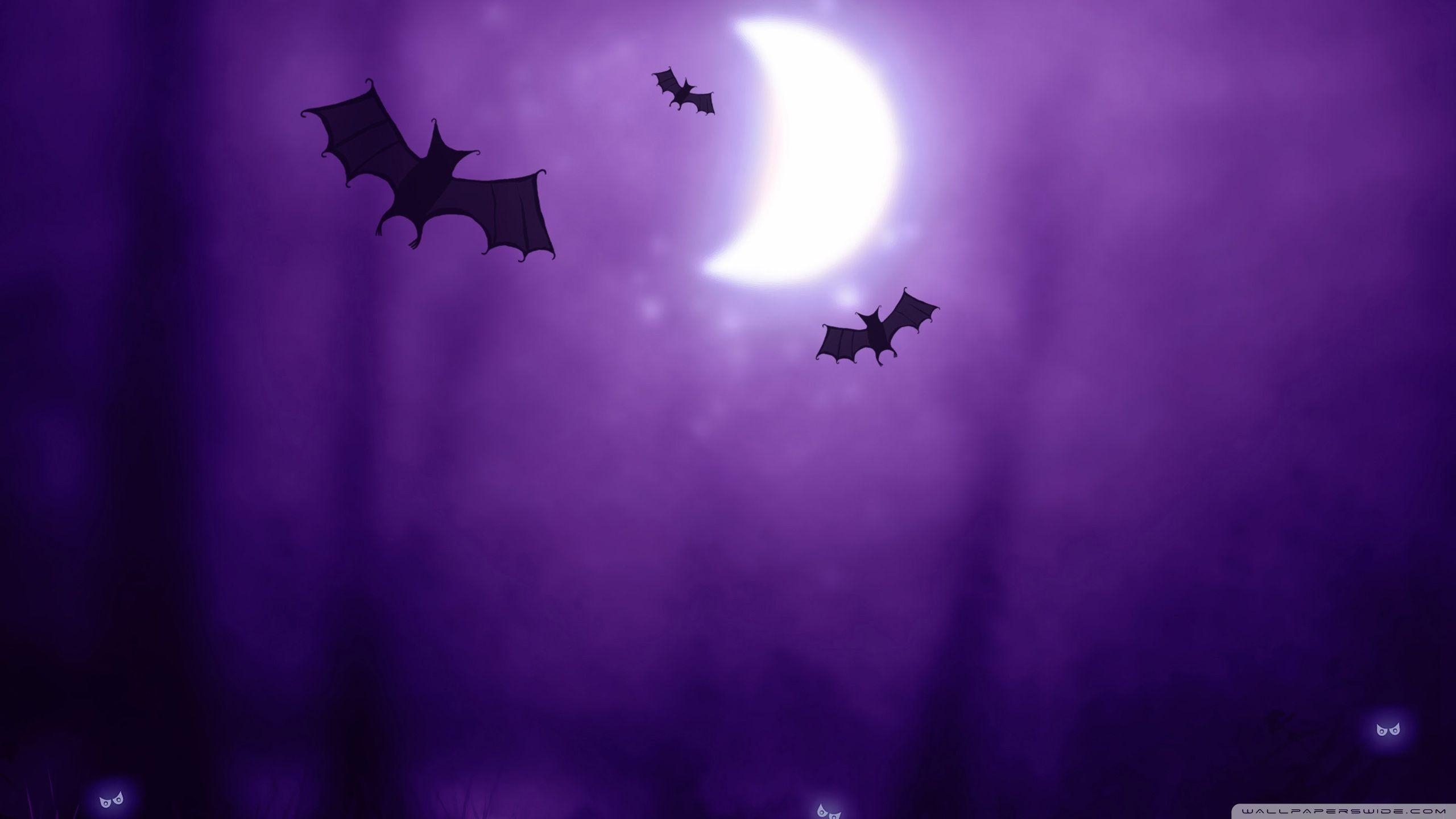 2560x1440 night Halloween Moon purple silhouette drawings bats, Desktop