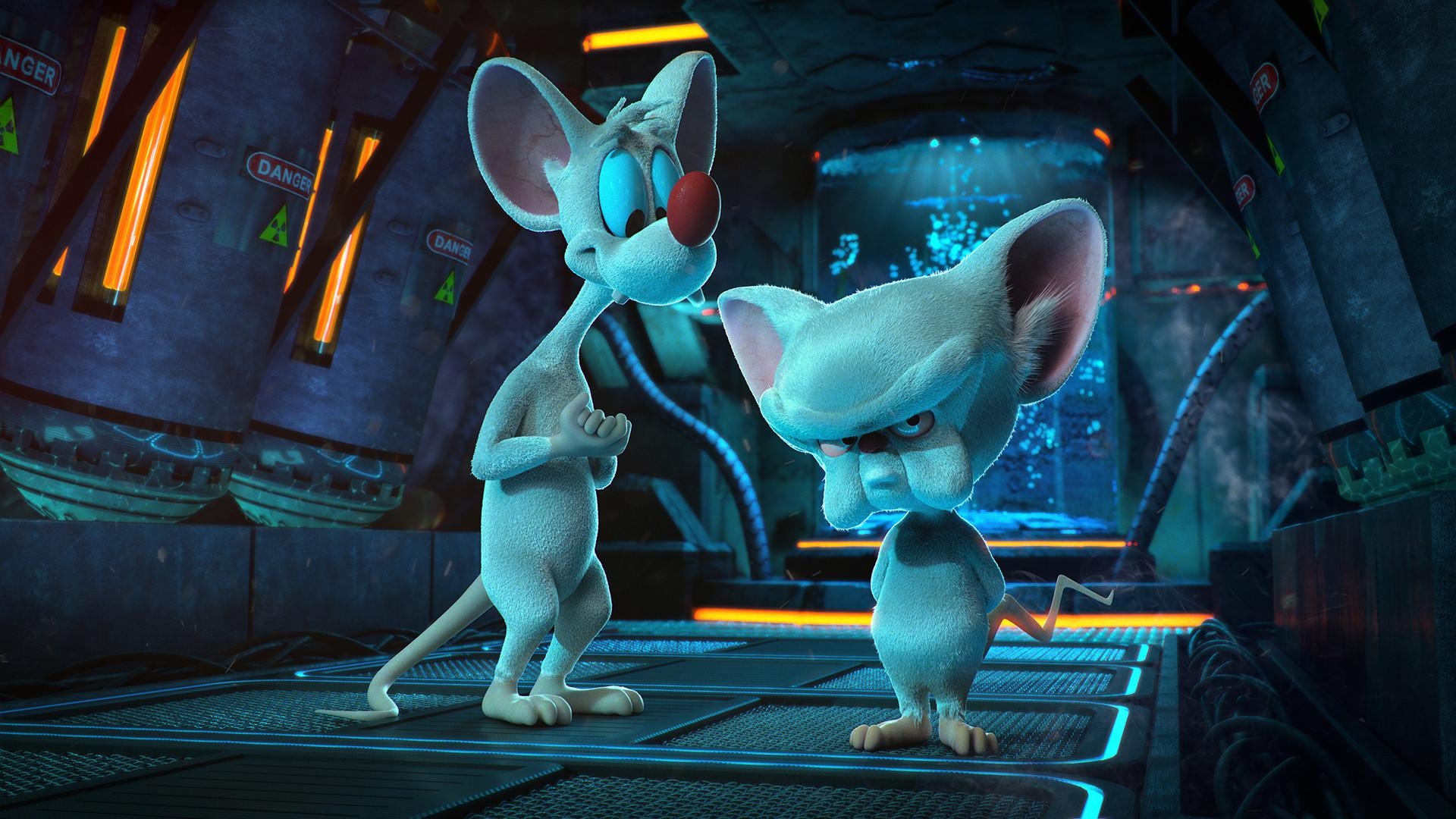 1920x1080 pinky and the brain, Richard Tatessian, Desktop