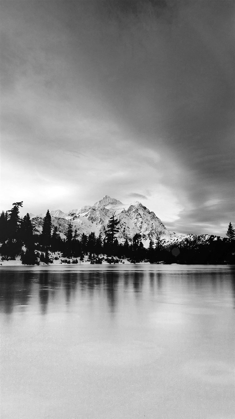 750x1340 Frozen Lake Winter Snow Wood Forest Cold Bw Dark iPhone 8 Wallpaper Free Download, Phone