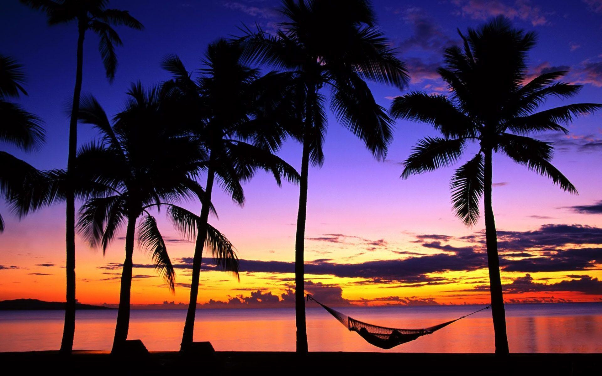 1920x1200 Tropical Beach Sunrise 8240 HD Wallpaper in Beach n Tropical, Desktop