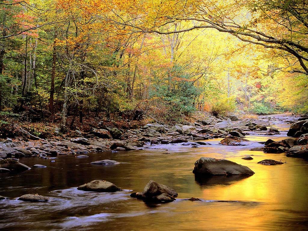 1030x770 Scenic Autumn Desktop Wallpaper. Best Design Options, Desktop