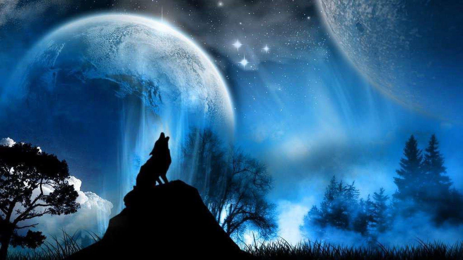 1920x1080 Wolf Wallpaper HD 1080p Desktop Wallpaper, Desktop