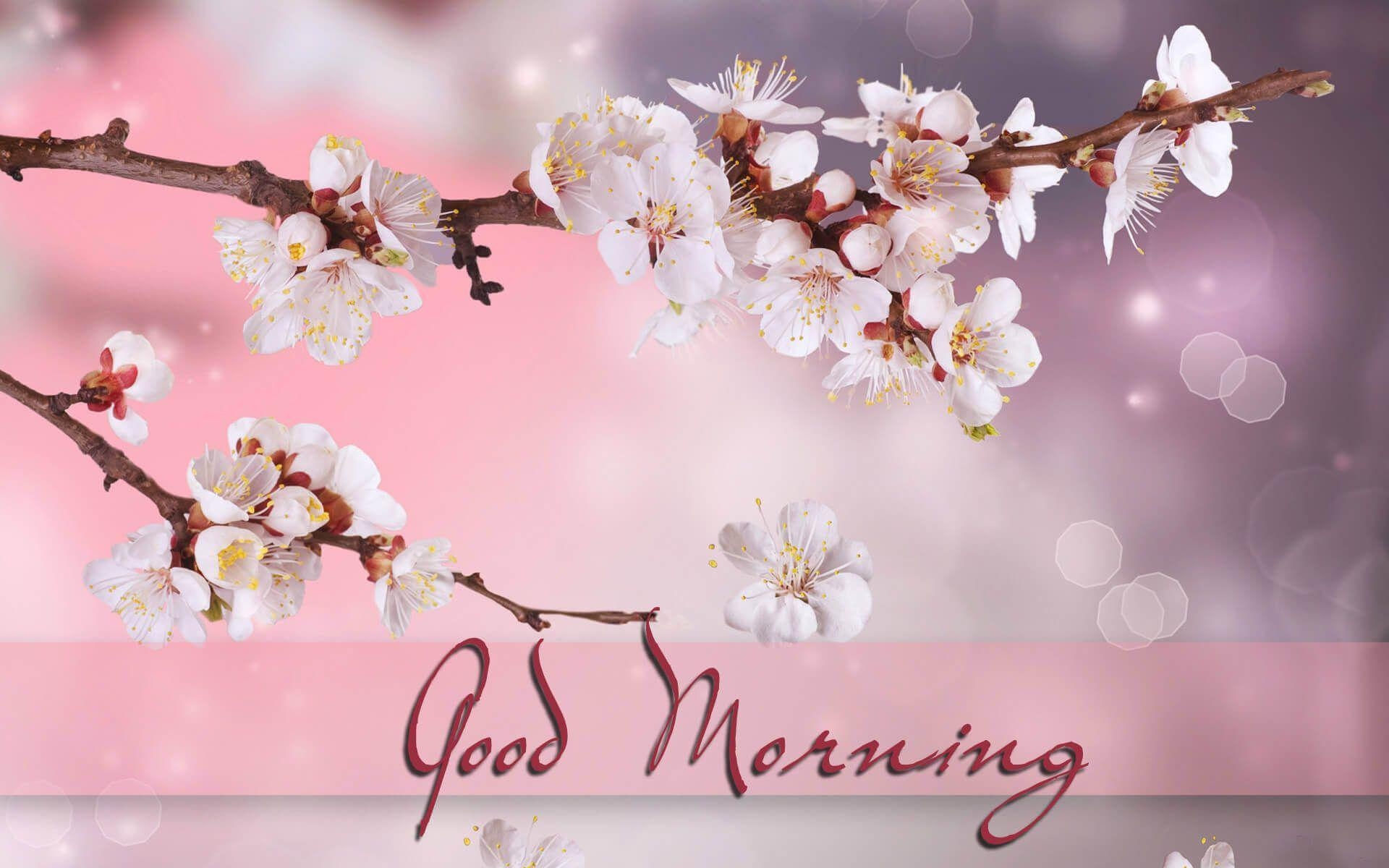 1920x1200 Good Morning HD Image FreeTo5Animations.Com, Desktop