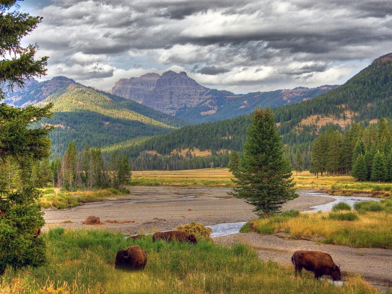 1280x960 Yellowstone National Park wallpaper, Earth, HQ Yellowstone, Desktop