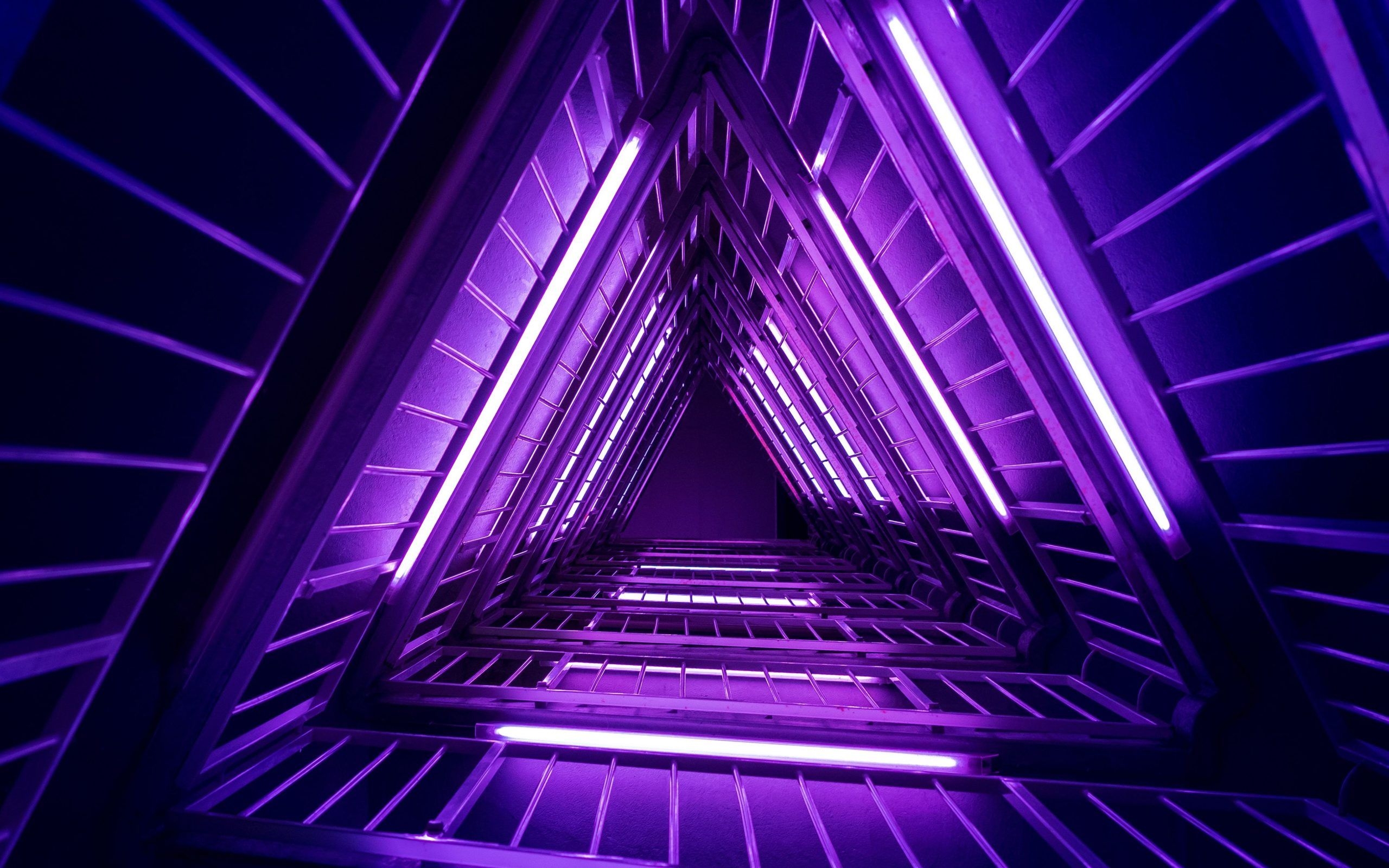 2560x1600 Neon Wallpaper 4K, Purple Neon Wallpaper 4K, Desktop