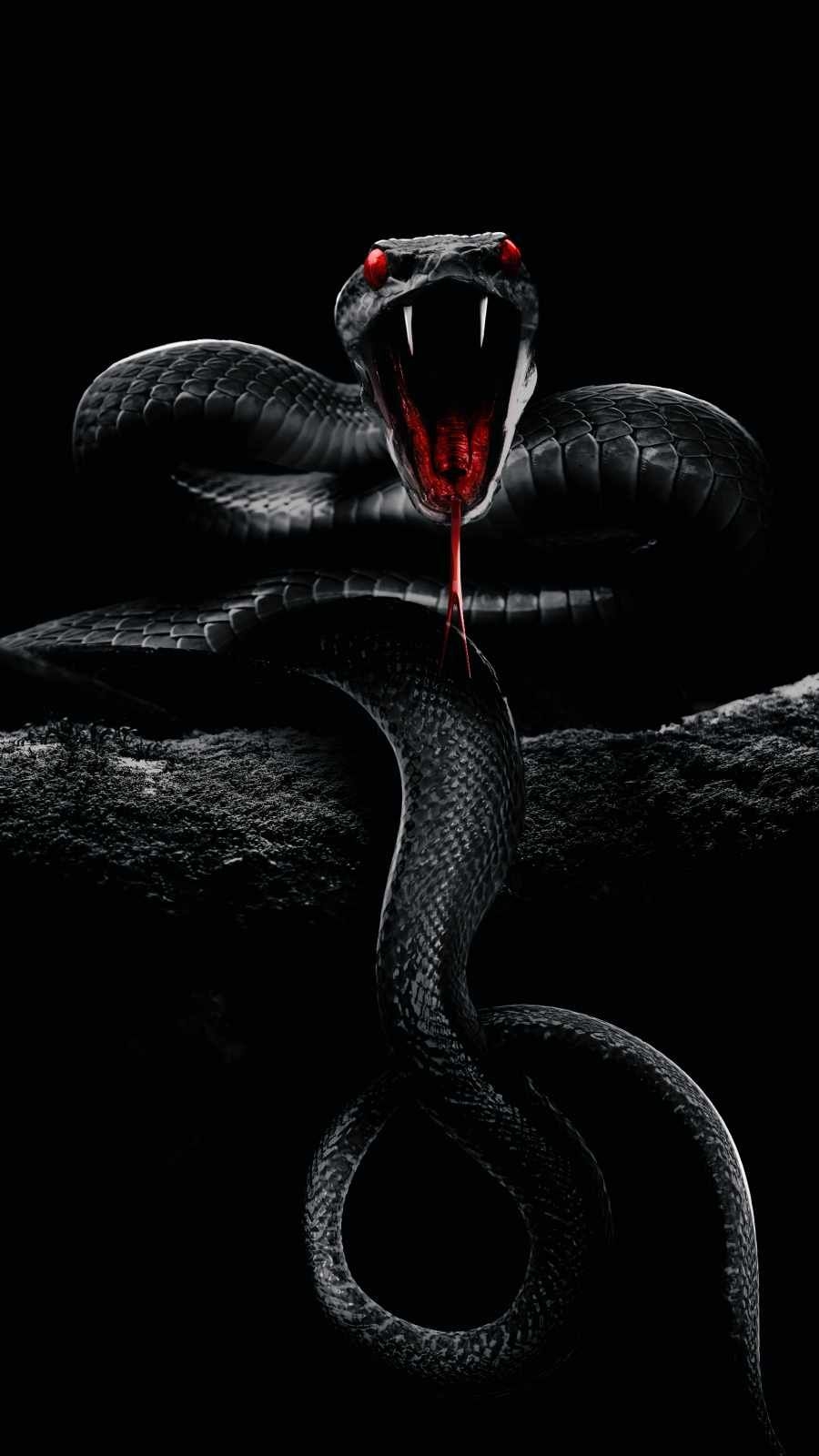 900x1600 Snake Wallpaper, Phone