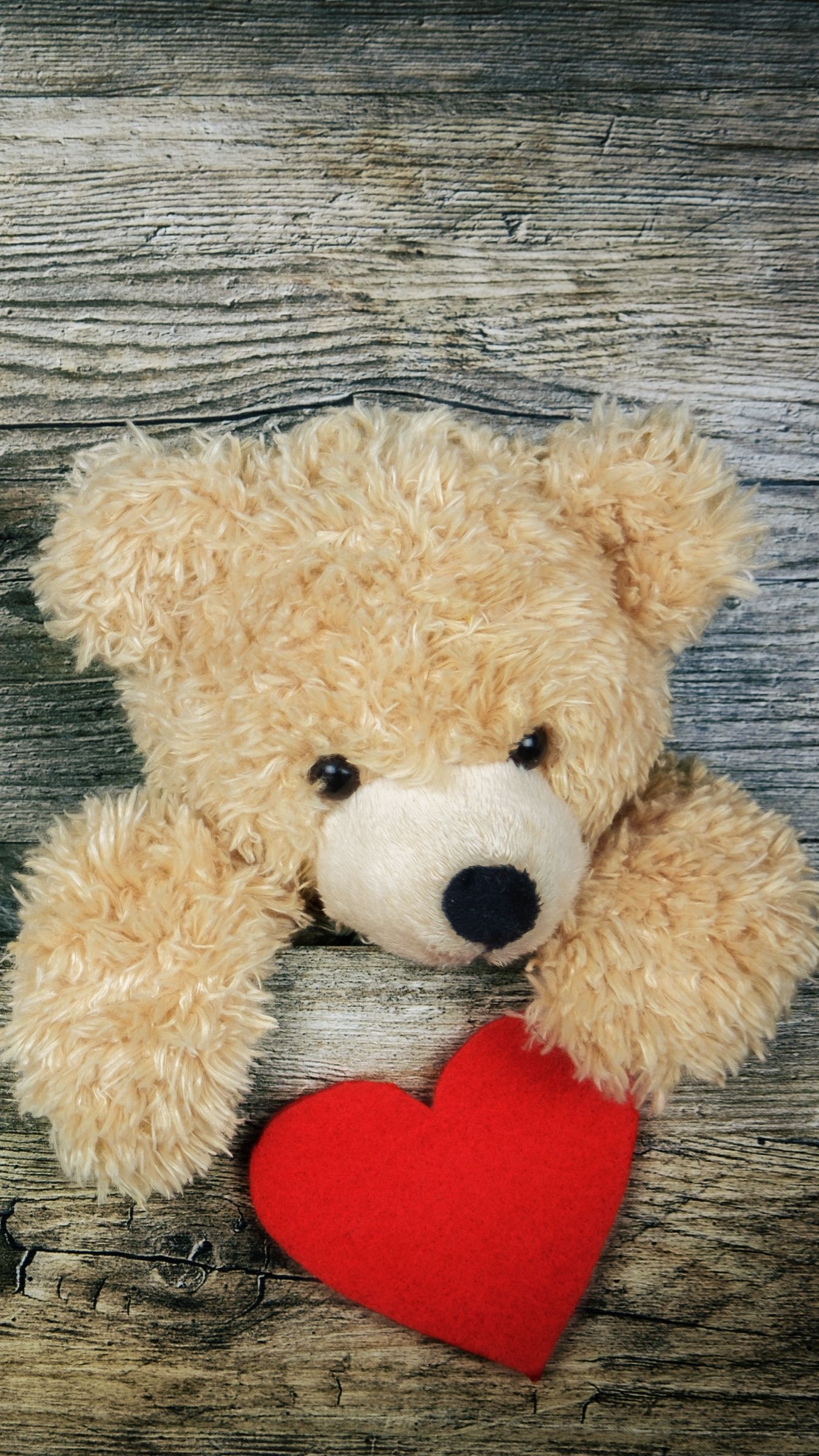 1350x2400 Teddy Bear, Heart, Valentines Day, Love Wallpaper, Phone