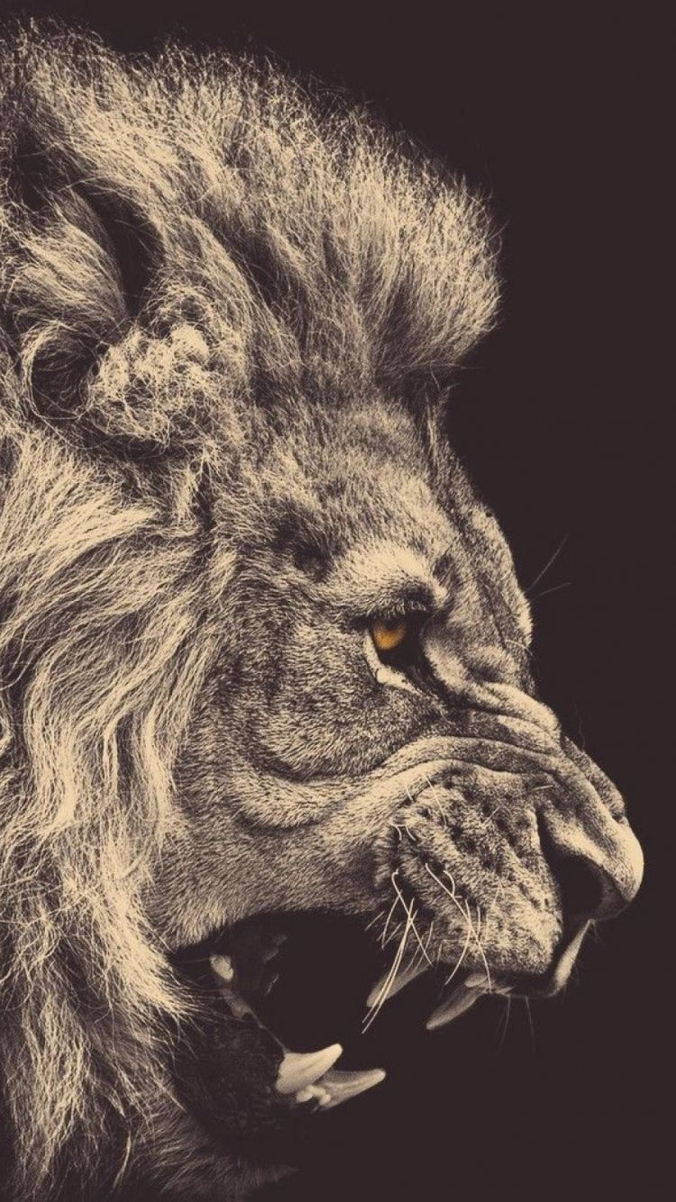 750x1340 Cool Lion Wallpaper, Phone