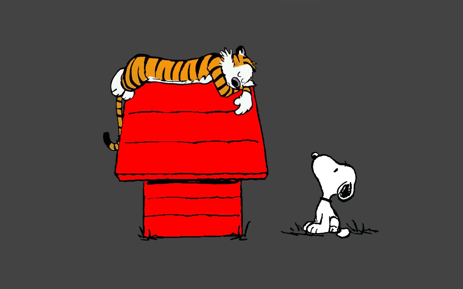 1920x1200 Calvin and Hobbes Snoopy Sleep peanuts tiger wallpaperx1200, Desktop