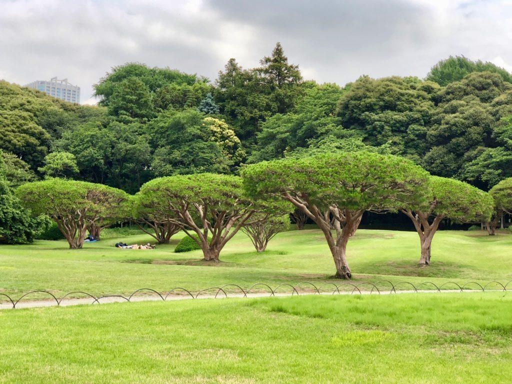 1030x770 Shinjuku Gyoen on a Weekday and Flowers, Desktop