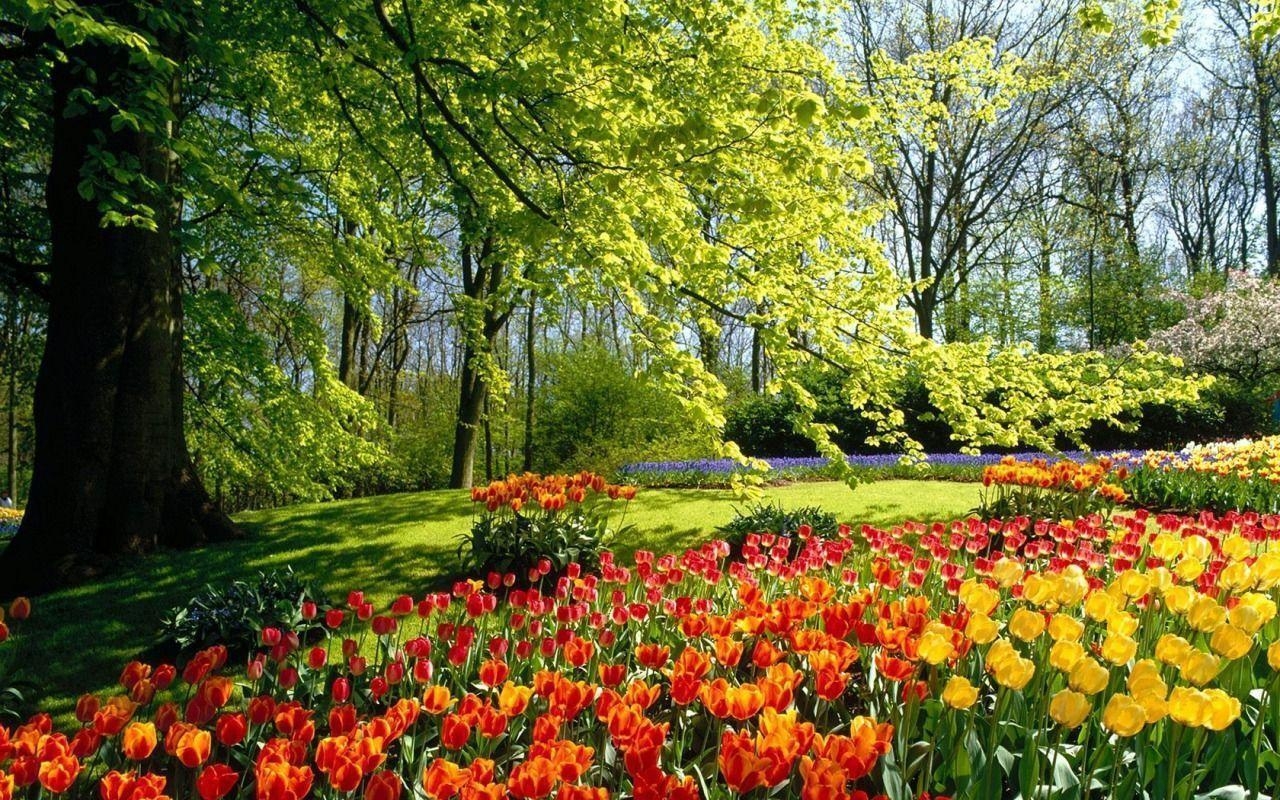 1280x800 Pix For > Widescreen Springtime Wallpaper, Desktop