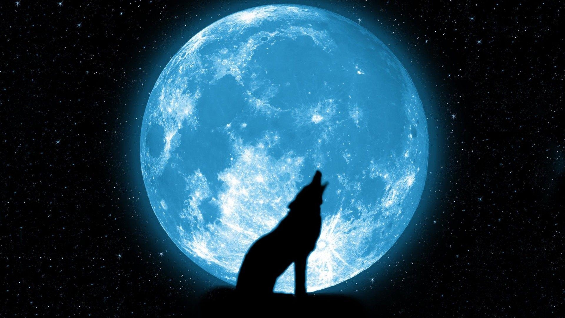 1920x1080 Wallpaper night, sky, Moon, wolf, stars, Wolf howling at the moon, Desktop