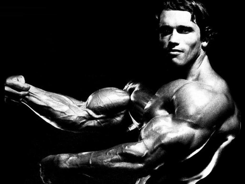 1030x770 Arnold Schwarzenegger Wallpaper 9 X 768, Desktop