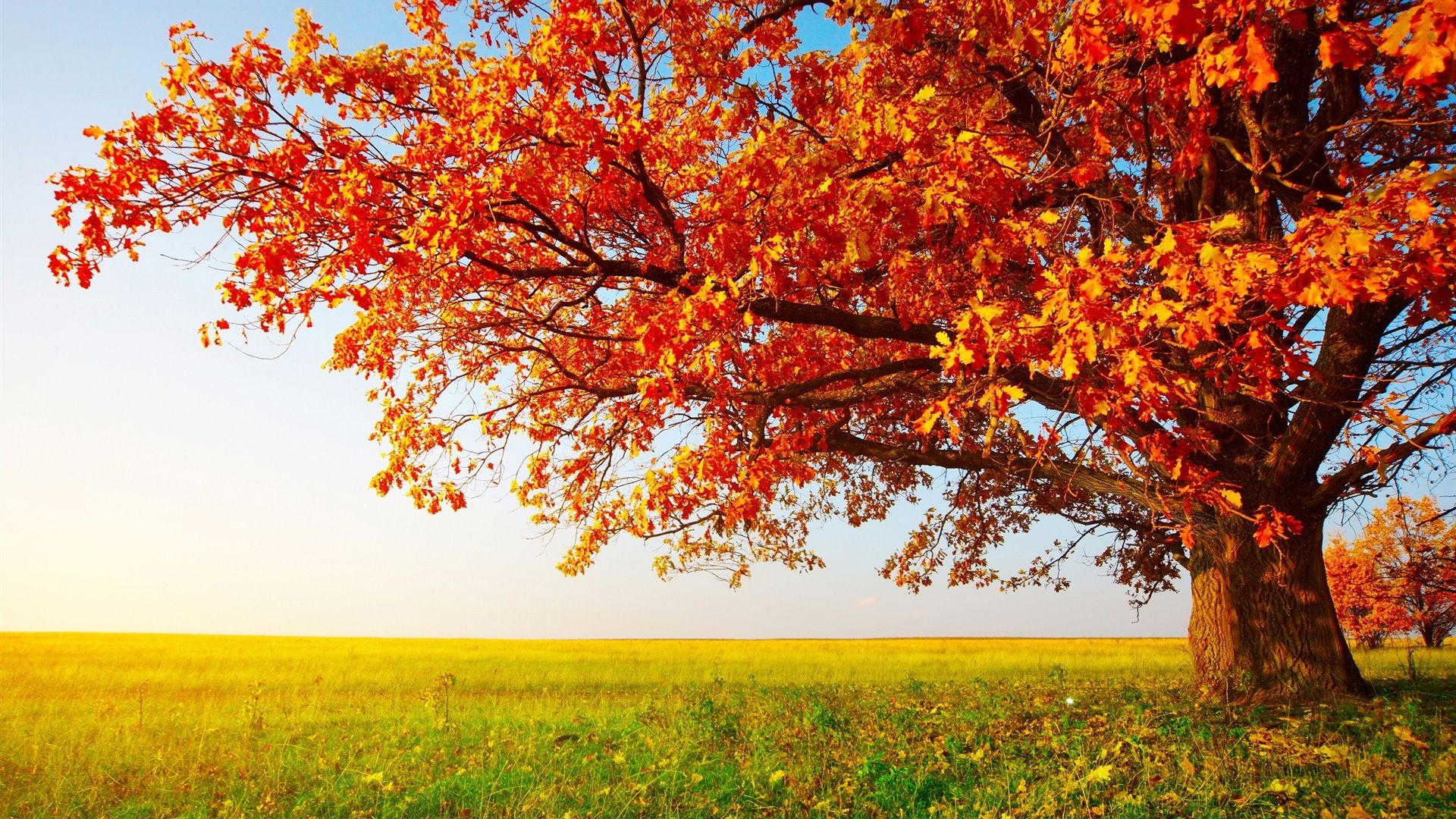 1920x1080 Autumn Wallpaper Background For Free HD Download, Desktop