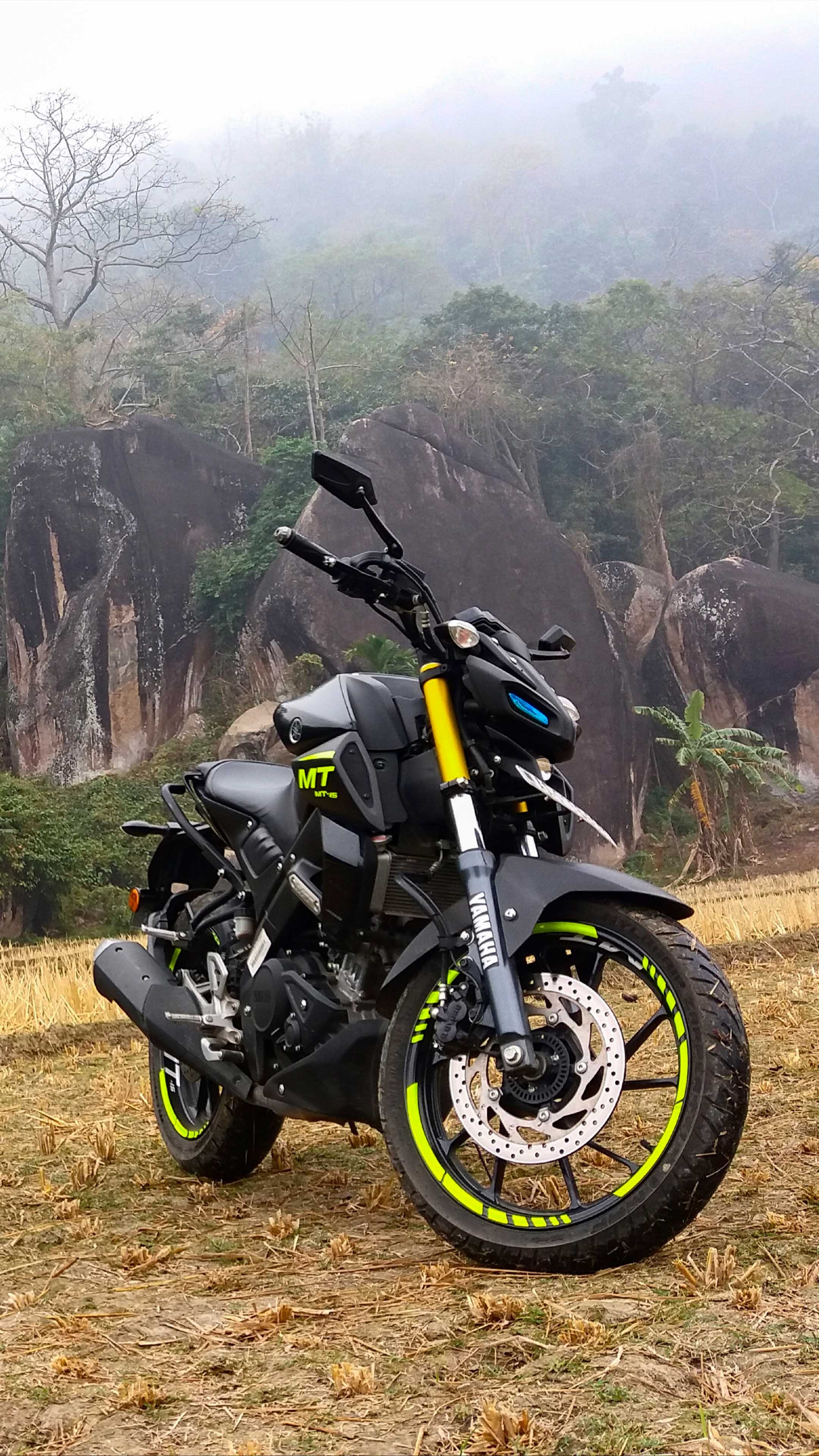 2160x3840 Yamaha MT15 Winter Fog 4K Ultra HD Mobile Wallpaper, Phone