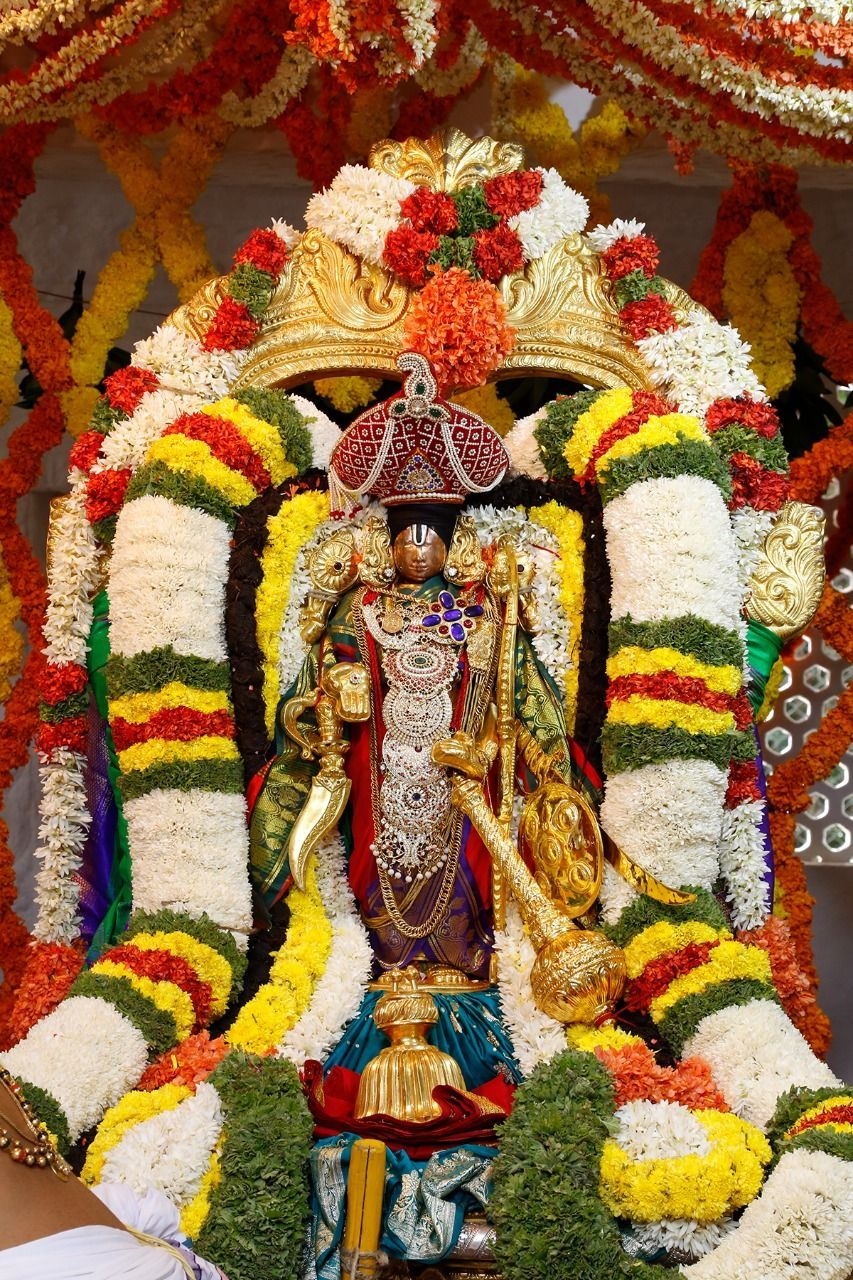 860x1280 Sri Malayappa Swamy parveta utsavam in tirumala, Phone