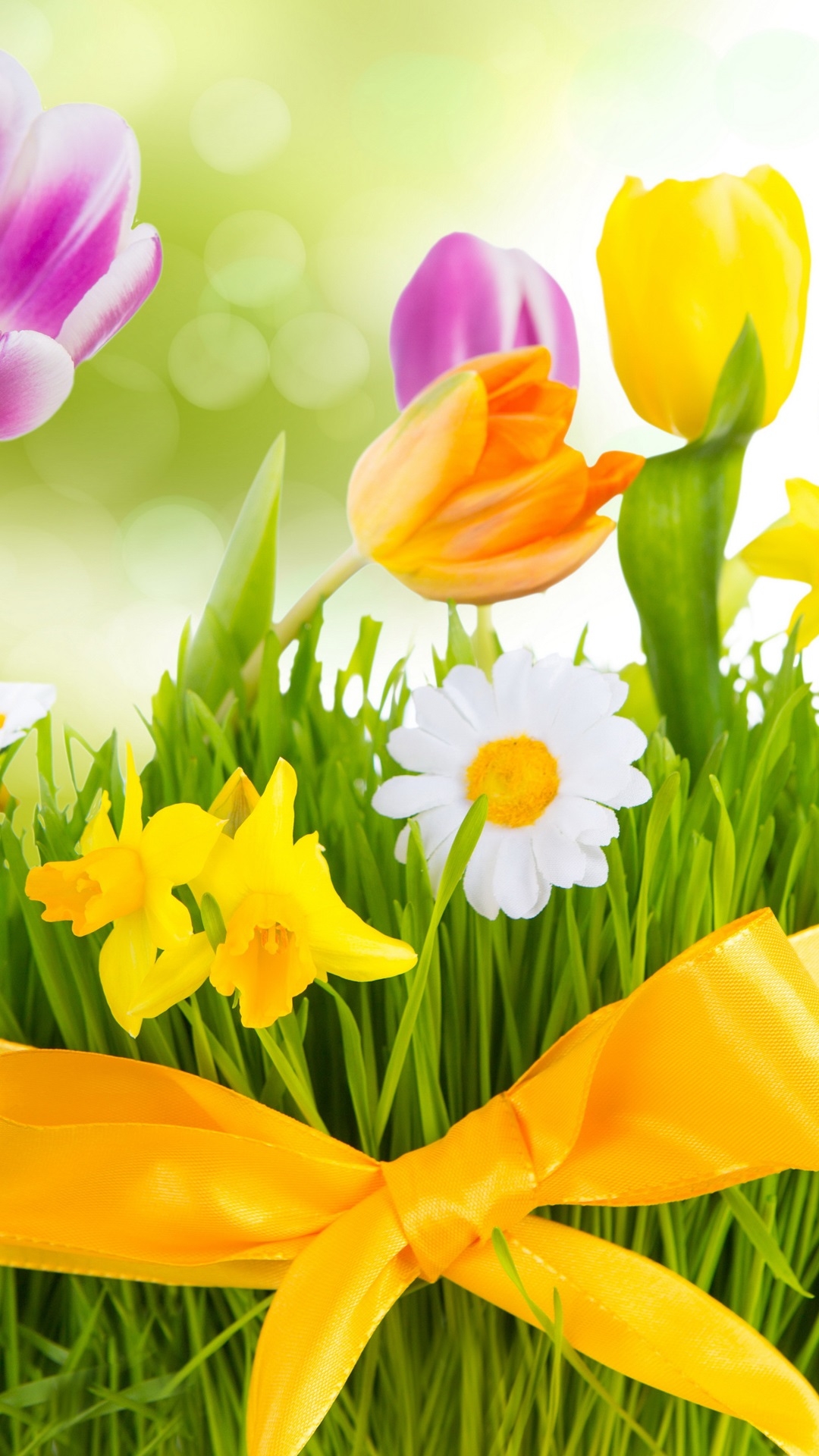 1080x1920 Spring, flowers, colorful tulips iPhone X 3GS wallpaper download, Phone