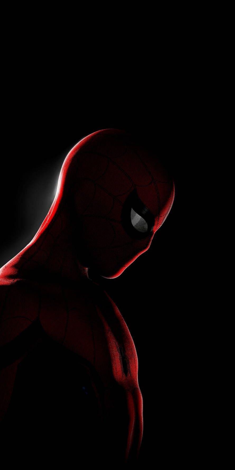 890x1780 Portrait Spiderman Wallpaper Black Background, Phone