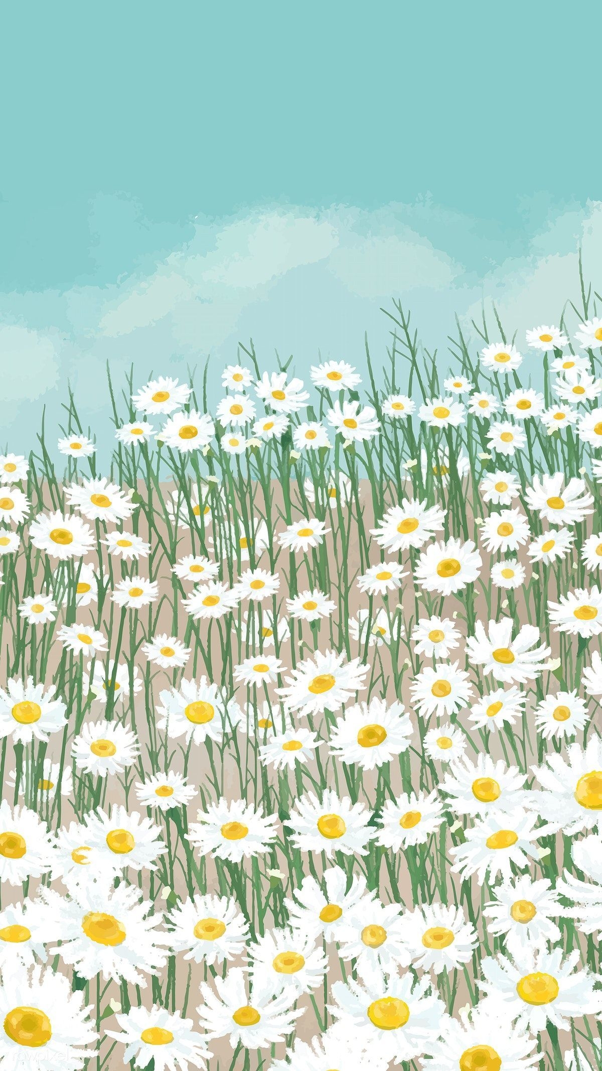 1200x2140 Blooming white daisy flower mobile.com, Phone