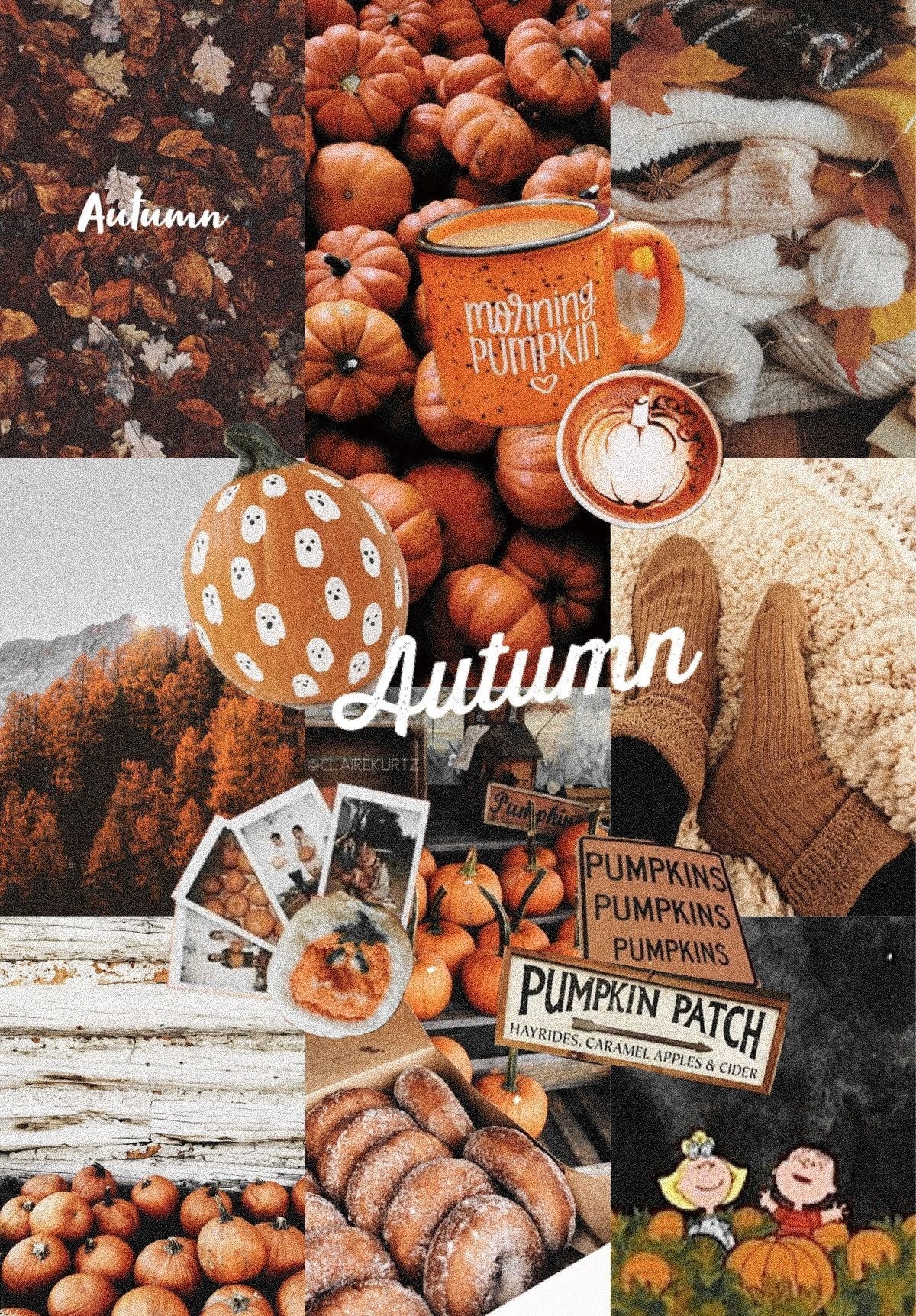 1200x1730 Aesthetic Cute Fall Wallpaper iPhone, Phone