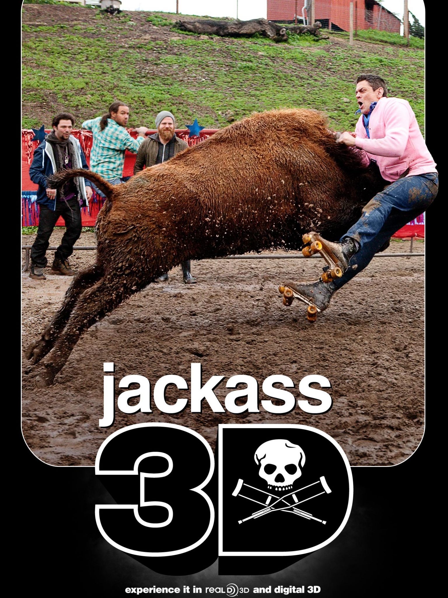 1540x2050 Free download Jackass 3D Movie Bull Hit Desktop Wallpaper, Phone