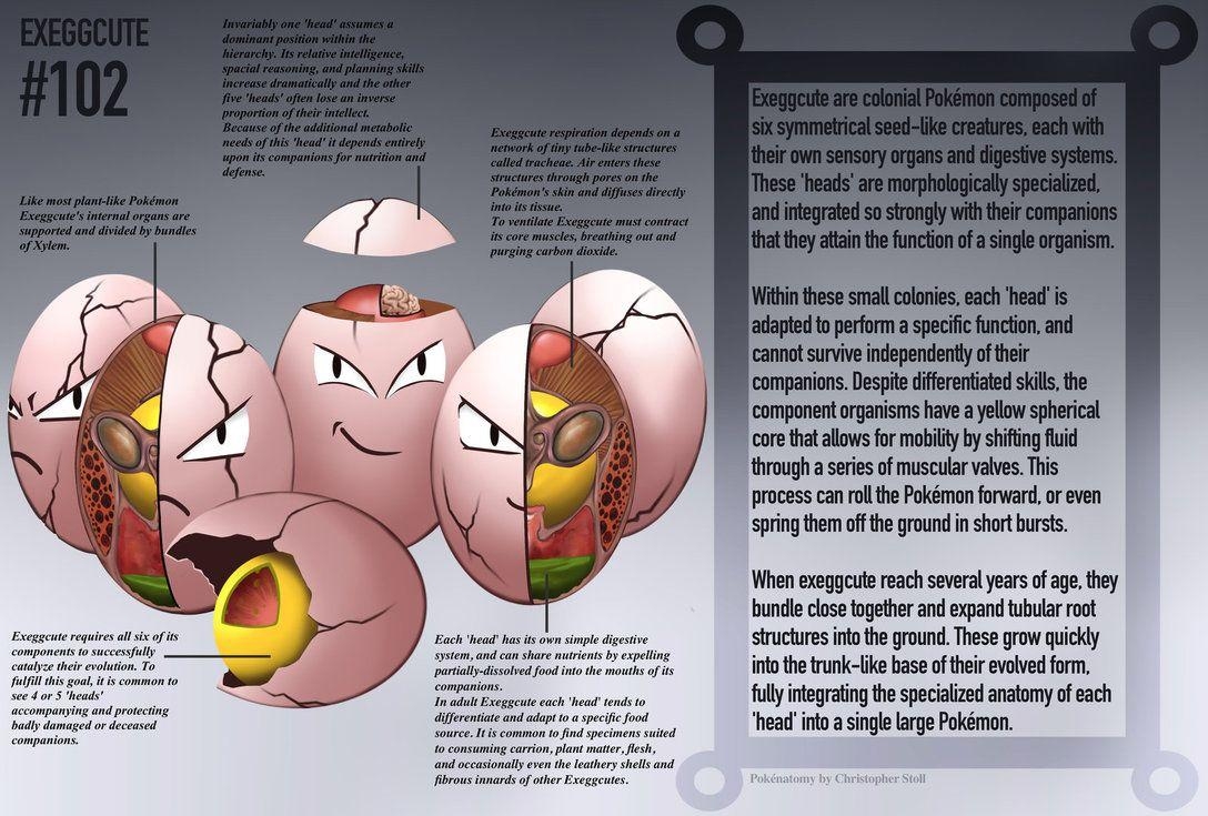 1090x740 Exeggcute Pokedex Entry By Christopher Stoll, Desktop