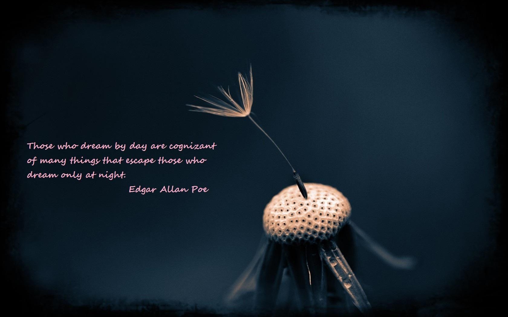 1680x1050 Edgar Allan Poe Quotes Text, Desktop