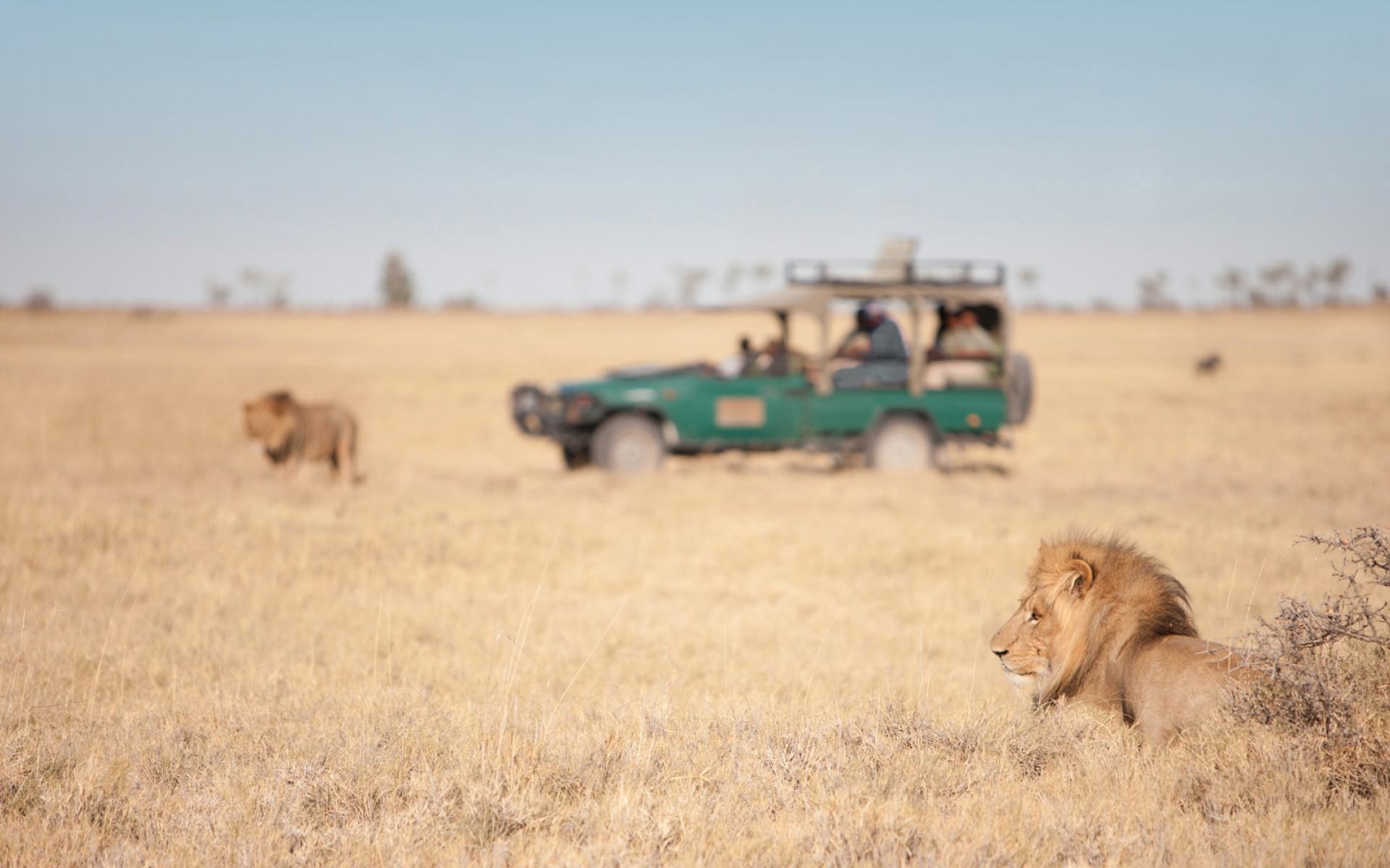 1920x1200 Index Of Assets Image 1920x600 Southern Africa Botswana San Camp, Desktop