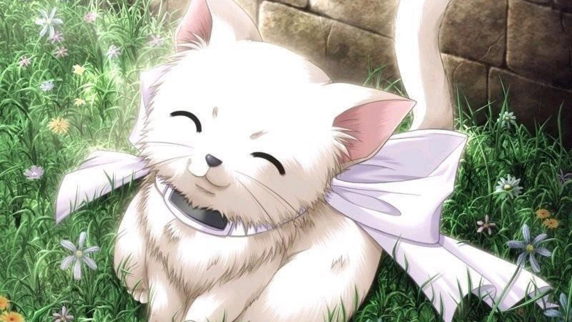 1920x1080 19++ Cute Anime Cat Wallpaper, Desktop