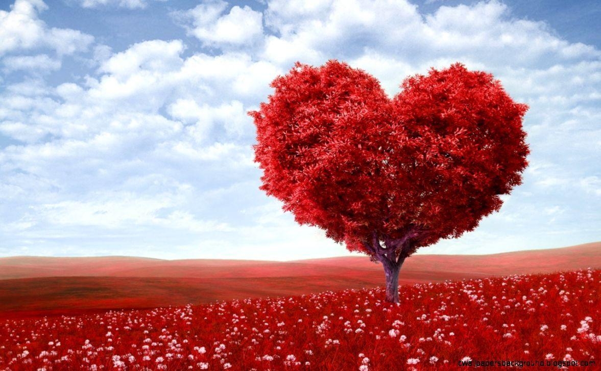 1180x730 Most Beautiful Wallpaper Of Hearts, Desktop