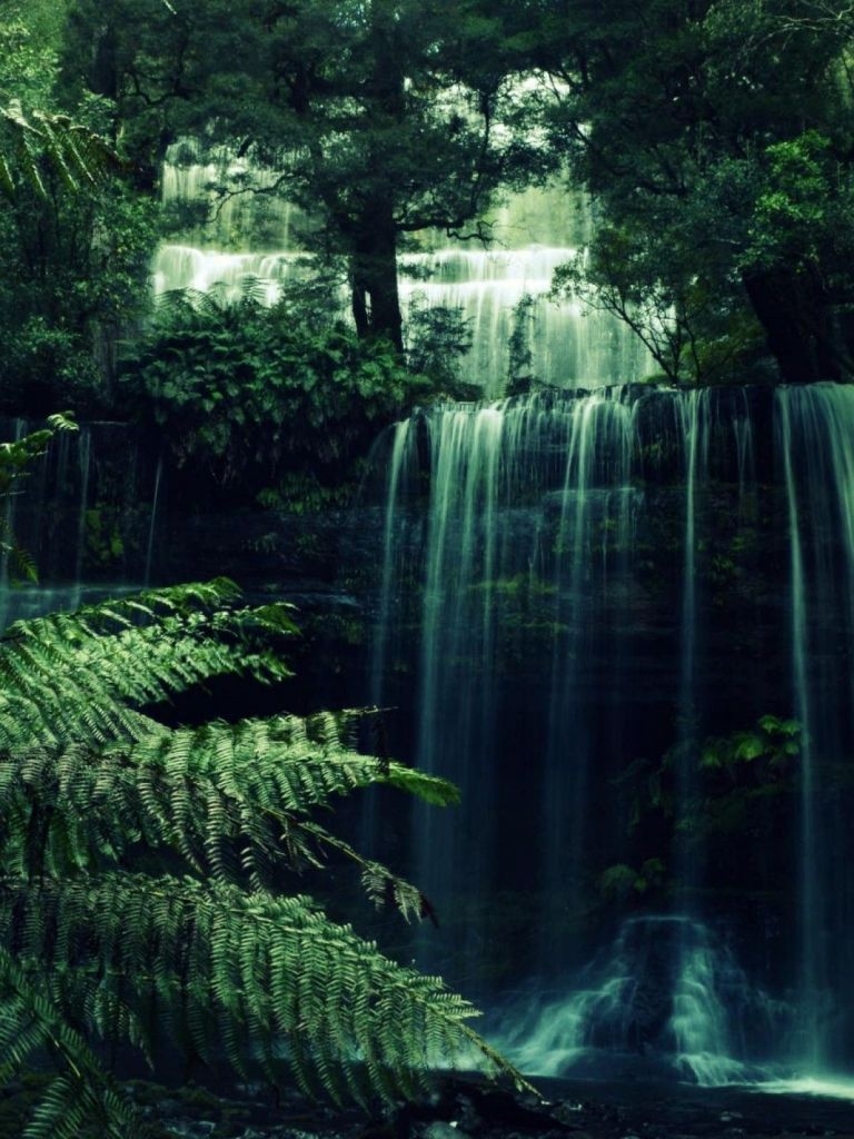 770x1030 Free download 45 Forest Waterfall Desktop Wallpaper Download at, Phone