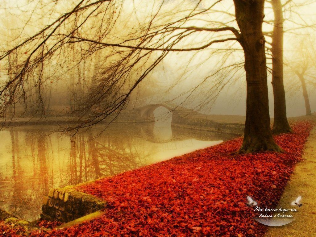 1030x770 Autumn wallpaper, Desktop