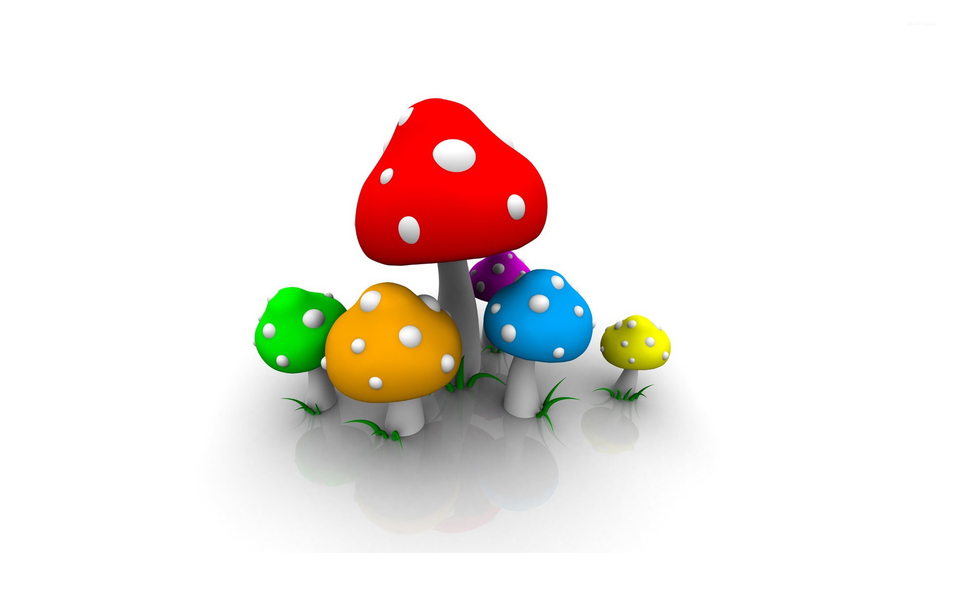 1920x1200 Colorful mushrooms wallpaper wallpaper, Desktop